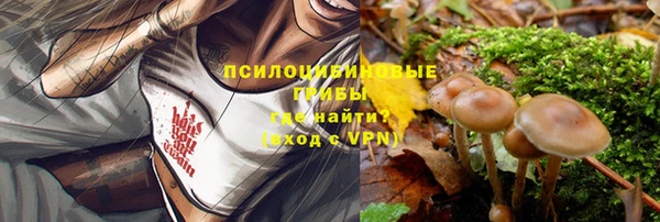 МДПВ Алексин