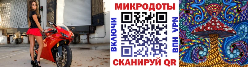хочу Богородицк Галлюциногенные грибы MAGIC MUSHROOMS