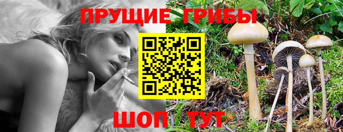 Псилоцибиновые грибы прущие грибы  Галлюциногенные грибы MAGIC MUSHROOMS  Вход с VPN  Богородицк 